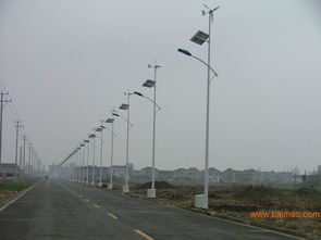 太阳能路灯,供应四川内江led太阳能路灯,飞鸟直销,太阳能路灯,供应四川内江led太阳能路灯,飞鸟直销生产厂家,太阳能路灯,供应四川内江led太阳能路灯,飞鸟直销价格
